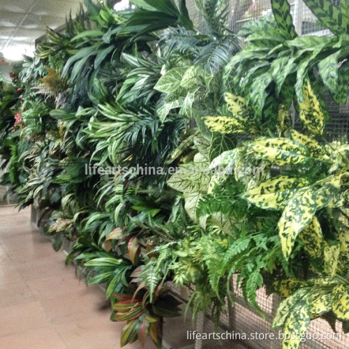 artificial plant wall, plastic green wall, OEM or ODM is welcome!